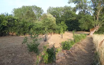 & Gîtes - Mercurey