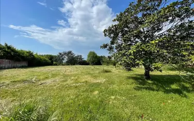Saint-Martin-D'abbat (45110)