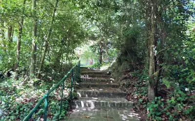 Coye-La-Forêt (60580)