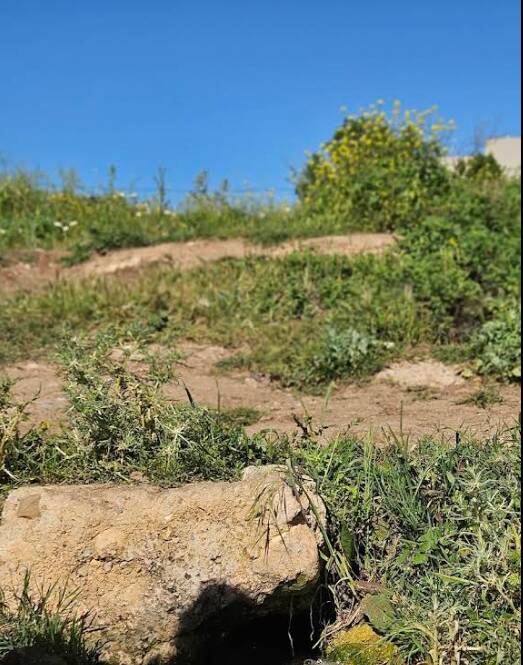 Maroc