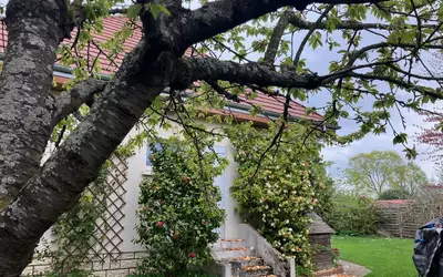 Ozouer-Le-Voulgis (77390)
