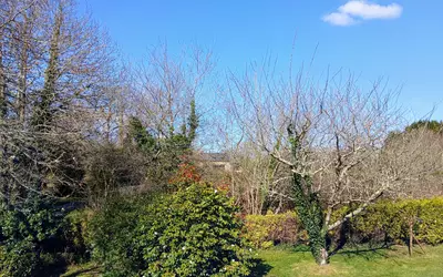 La Forêt-Fouesnant (29940)