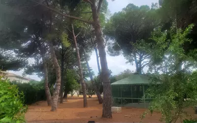 Montpellier (34000)