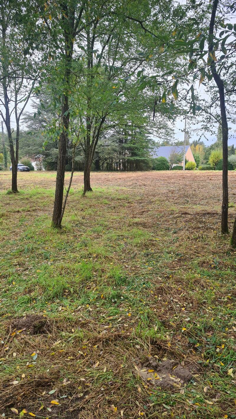 Ouzouer-Sur-Loire (45570)