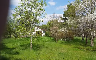 Chabris (36210)