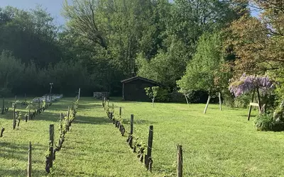 Beautiran (33640)