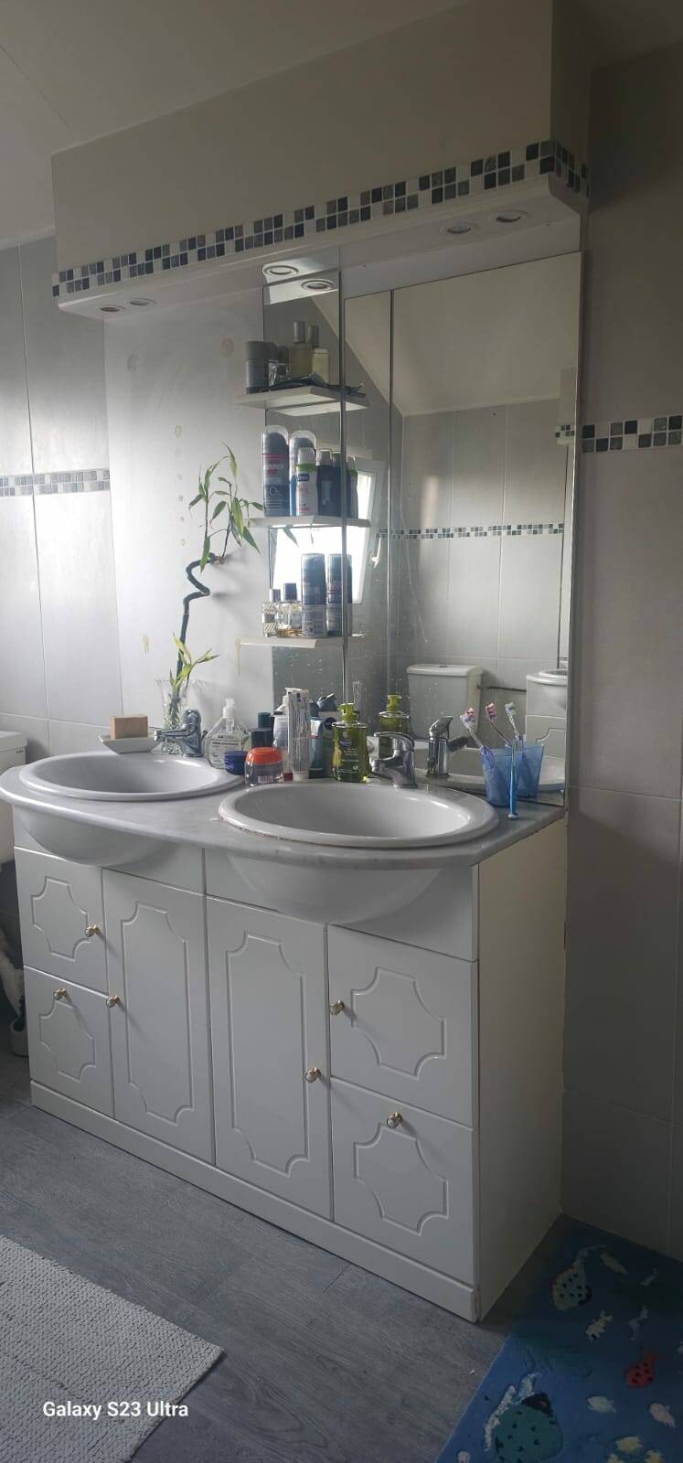 Le Blanc-Mesnil (93150)