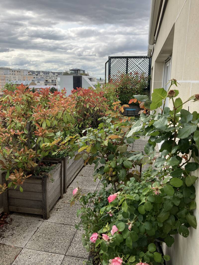 Courbevoie (92400)