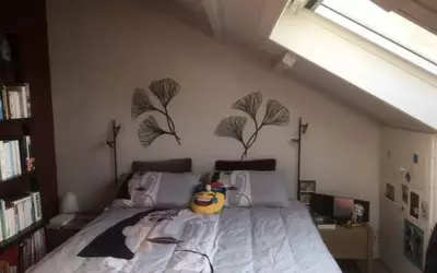 Rueil-Malmaison (92500)
