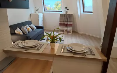 Montfermeil (93370)