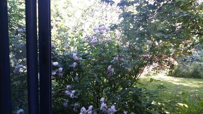 Location appartement 3 pièces Athis-Mons (91200)