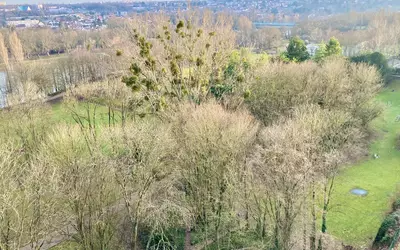 Cergy - Terrasse 45 M²