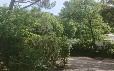 Fréjus (83600)
