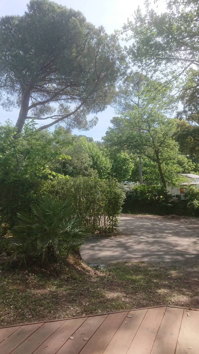 Fréjus (83600)