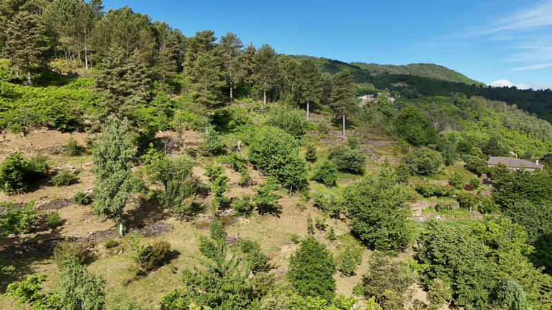 Malbosc (07140)