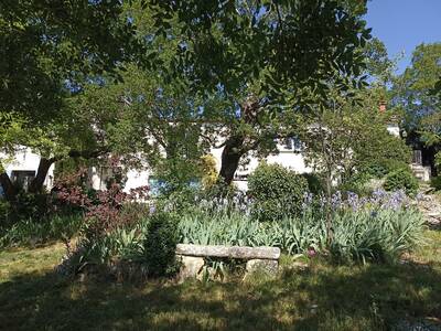 Vente maison 6 pièces Mas-de-Londres (34380)