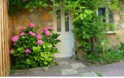 Colocation Le Mesnil-Saint-Denis (78320)