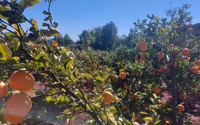 Espagne
