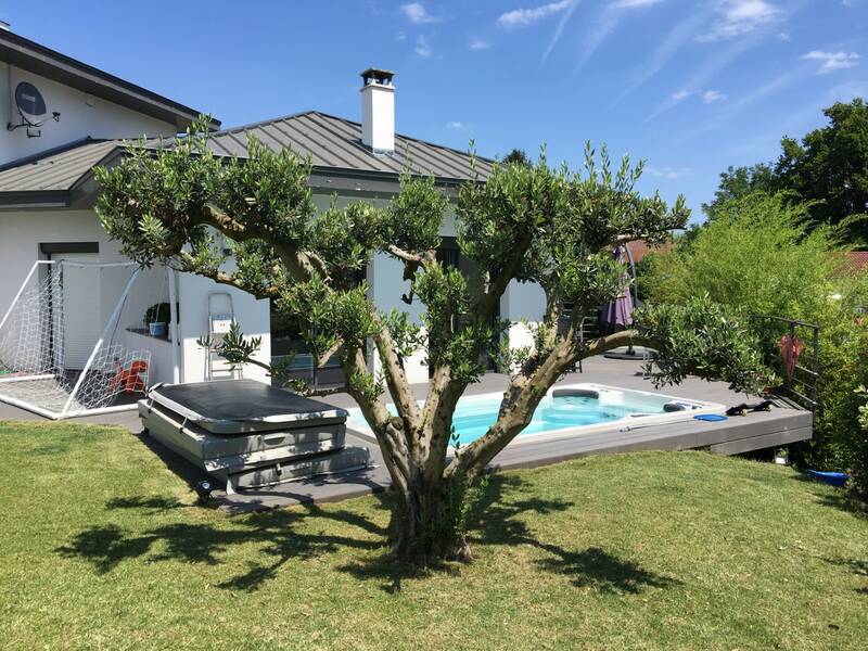 Mionnay (01390)