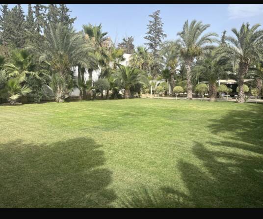 Tunisie