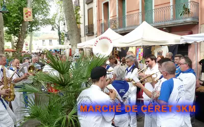 Saint-Jean-Pla-De-Corts (66490)