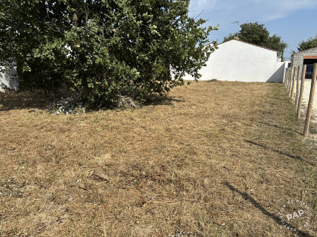 Vente terrain 393 m² Dolus-D'oléron (17550)