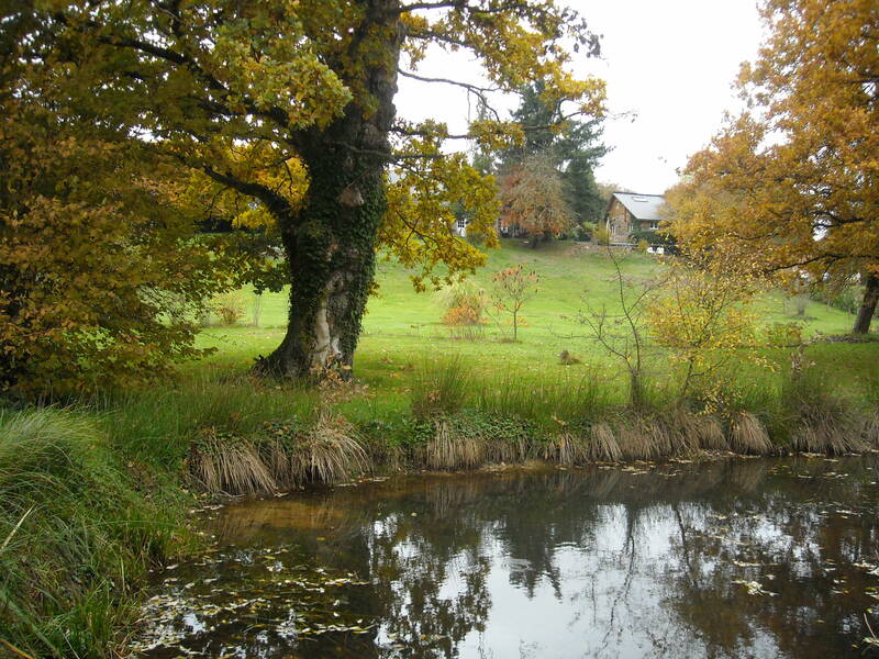 Livaie