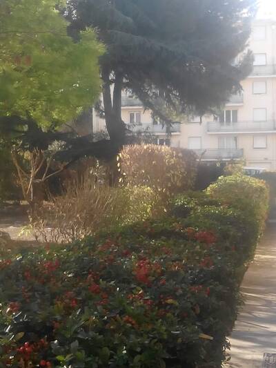 Vente appartement 4 pièces Montpellier (34)