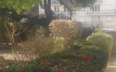 Montpellier (34000)