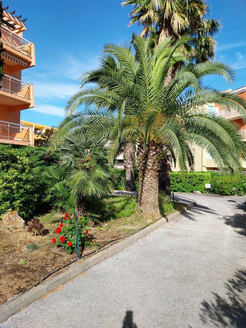 Bormes-Les-Mimosas (83230)