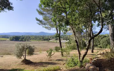 Saint-Maximin-La-Sainte-Baume (83470)