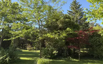 Grillon (84600)