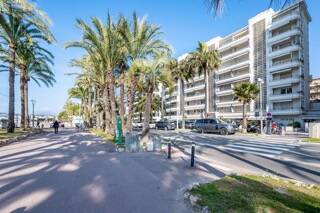 Cannes (06150)