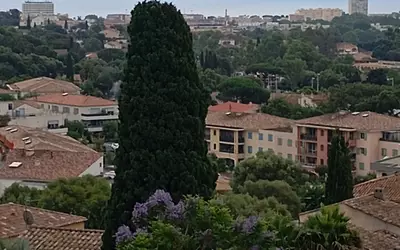 Bormes-Les-Mimosas (83230)
