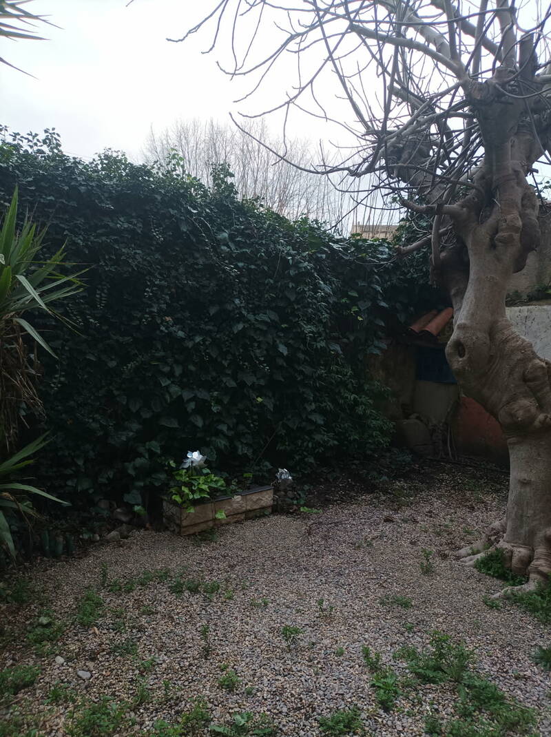 Trans-En-Provence (83720)