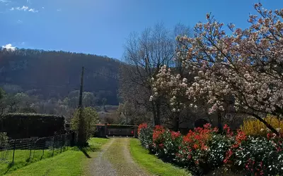 Nevy-Sur-Seille (39210)