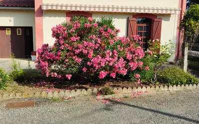 Senouillac (81600)