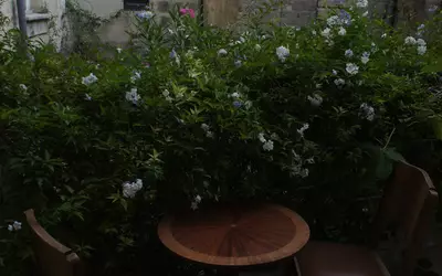 Uzès (30700)