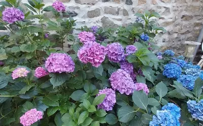 Lamure-Sur-Azergues (69870)