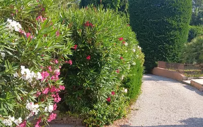 Roquebrune-Sur-Argens (83380)