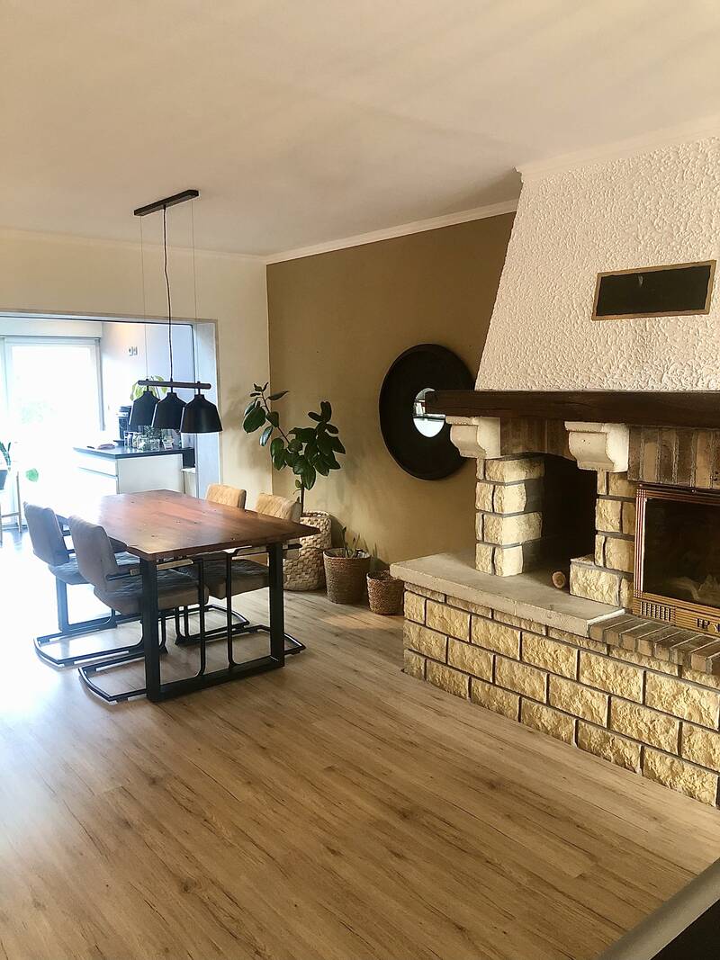 Mexy (54135)