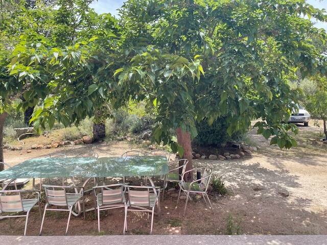 Calvi