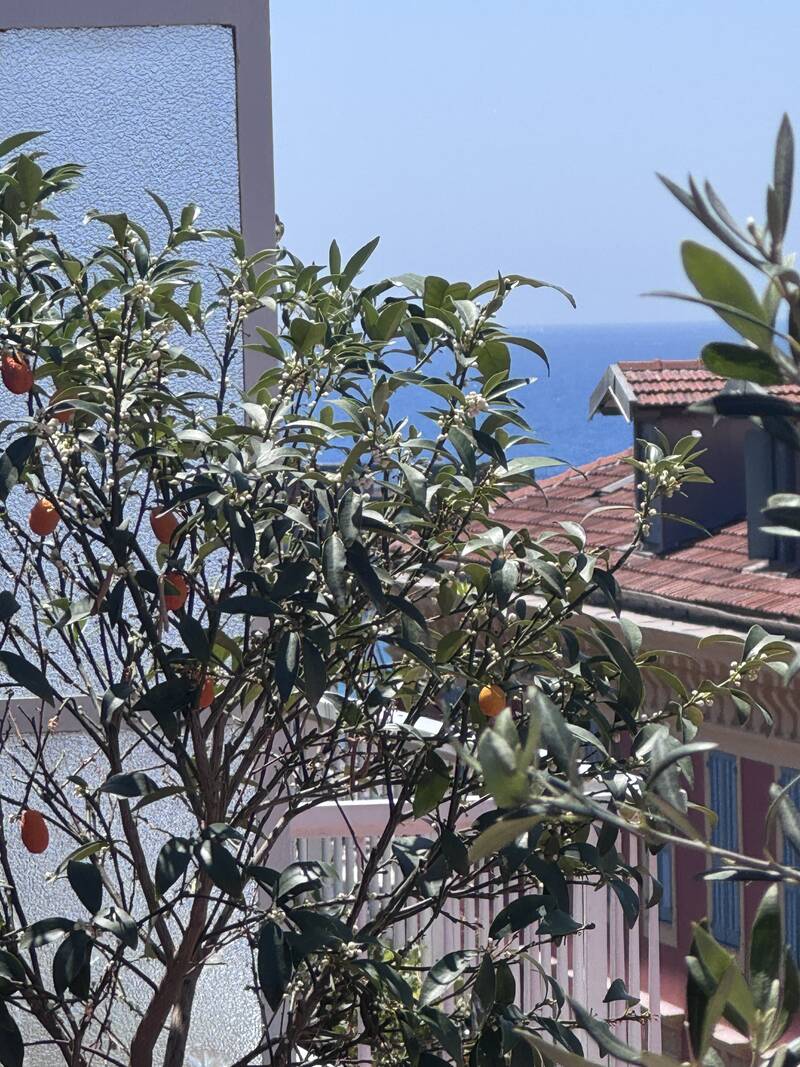 Nice - Le Port