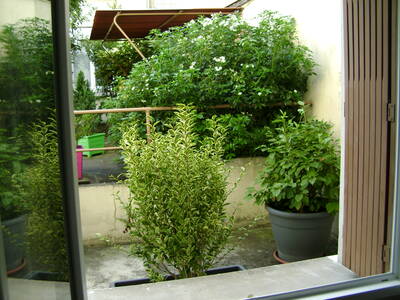 Location appartement studio Alfortville (94140)