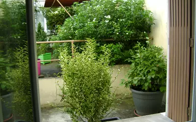Alfortville (94140)