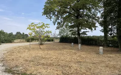 Bouzy-La-Forêt (45460)