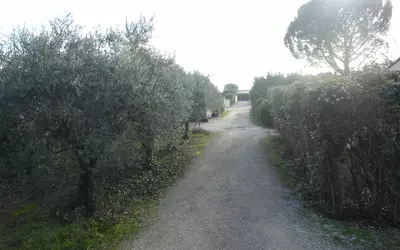 Caromb (84330)