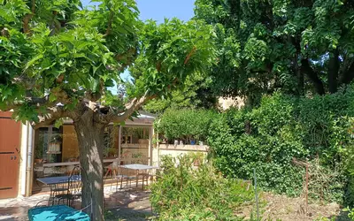 Avignon