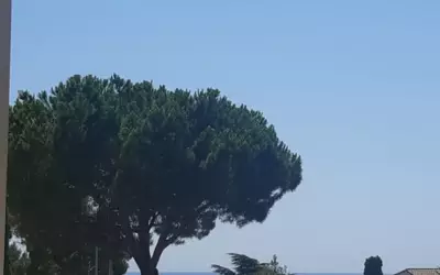 Sausset-Les-Pins (13960)