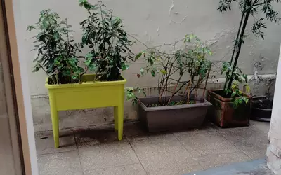 - Pied-À-Terre